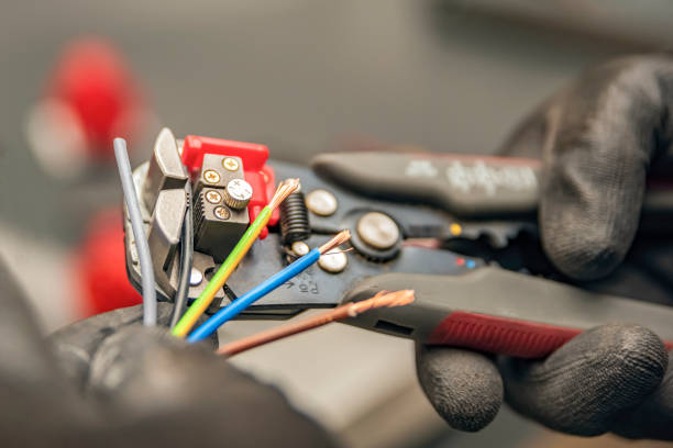 Best Affordable Electrician  in Taylorsville, MS