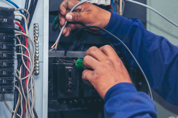 Best Local Electrician Companies  in Taylorsville, MS