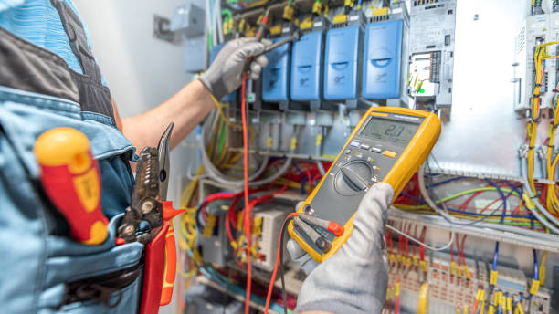 Best Electric Panel Repair  in Taylorsville, MS